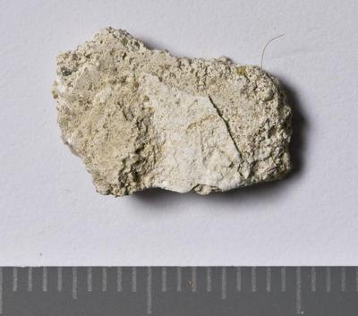 Fig.2. Sample overview (reverse). Photo by M.Gil 2018  © ICCROM Archives