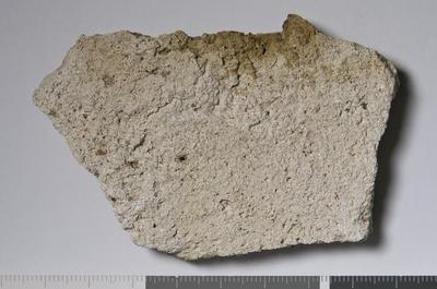 Fig.3. Sample overview (reverse). Photo by M.Gil 2018  © ICCROM Archives