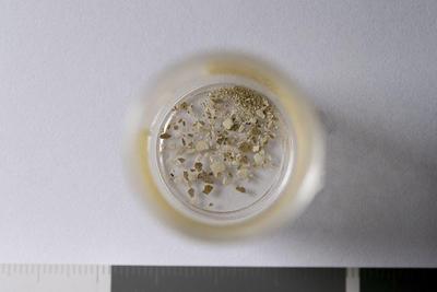 Fig.1. Sample overview (front). Photo by M.Gil 2018  © ICCROM Archives