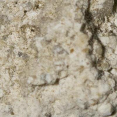 Fig.3. Sample overview (profile detail). Photo by M.Gil 2018  © ICCROM Archives
