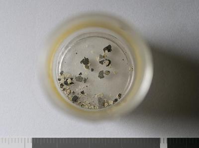 Fig.2. Sample overview (front). Photo by M.Gil 2018 © ICCROM Archives