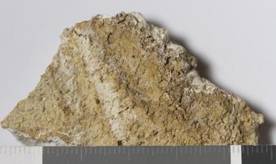 Fig.2. Sample overview (reverse). Photo by M.Gil 2018  © ICCROM Archives