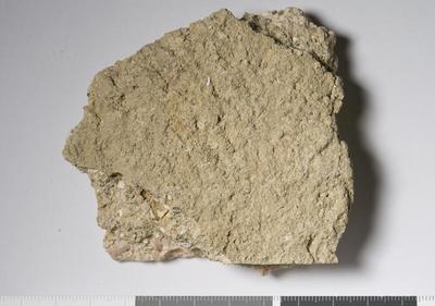 Fig.2. Sample overview (reverse). Photo by M.Gil 2018  © ICCROM Archives
