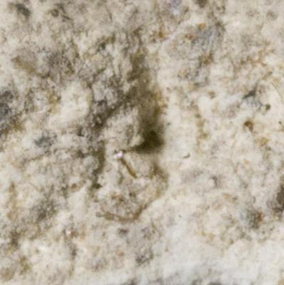 Fig.4. Sample overview (detail profile). Photo by M.Gil 2018  © ICCROM Archives