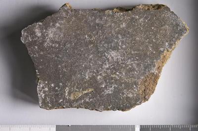 Fig.2. Sample overview (front). Photo by M.Gil 2018  © ICCROM Archives