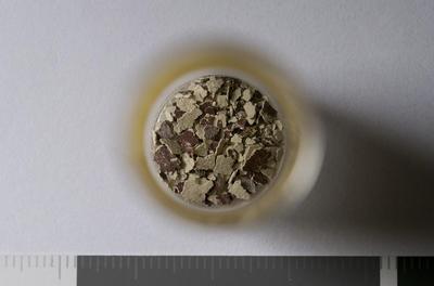 Fig.2. Sample overview (front). Photo by M.Gil 2018 © ICCROM Archives