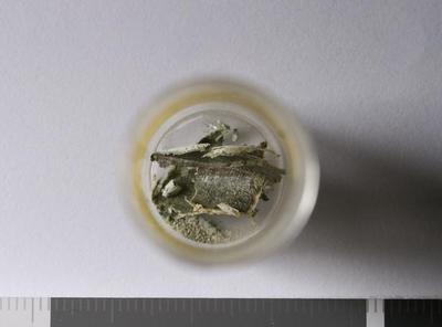 Fig.2. Sample overview (front). Photo by M.Gil 2018 © ICCROM Archives