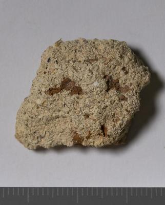 Fig.2. Sample overview (reverse). Photo by M.Gil 2018  © ICCROM Archives
