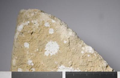 Fig.4. Sample overview (profile). Photo by M.Gil 2018  © ICCROM Archives