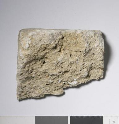 Fig.2. Sample overview (reverse). Photo by M.Gil 2018  © ICCROM Archives