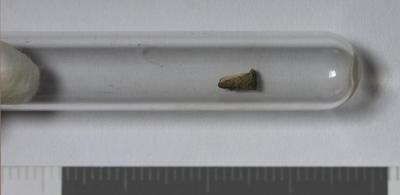 Fig.1. Sample overview (front). Photo by M.Gil 2018 © ICCROM Archives