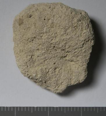 Fig.2. sample overview (reverse). Photo by M.Gil2018 © ICCROM Archives