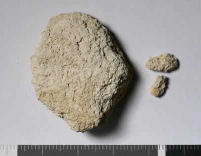 Fig.2. sample overview (reverse). Photo by M.Gil2018 © ICCROM Archives