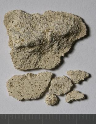 Fig.2. sample overview (reverse). Photo by M.Gil2018 © ICCROM Archives