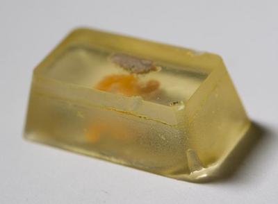 Fig.3. sample profile. Photo by M.Gil2018 © ICCROM Archives