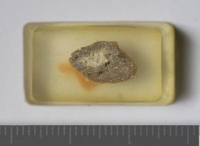 Egypt: MRA-EGY-Unk003