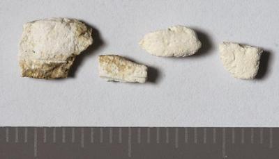 Fig.2. sample overview (reverse). Photo by M.Gil2018 © ICCROM Archives