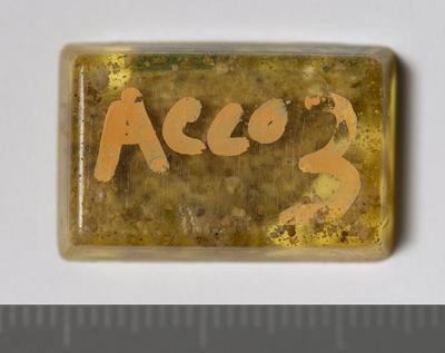 Fig.2. sample overview (reverse). Photo by M.Gil2018 © ICCROM Archives