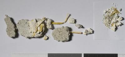 Egypt: MRA-EGY-Unk014
