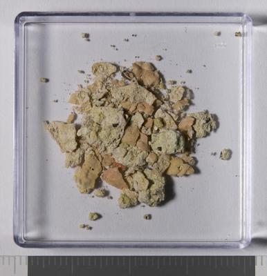 Overview of the sample, back