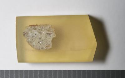 Overview of the sample