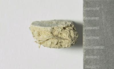 Overview of the sample, profile
