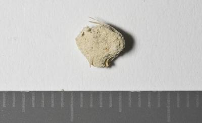 Overview of the sample, back