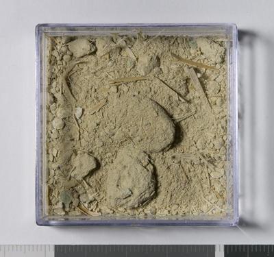 Overview of the sample