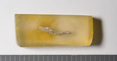 Overview of the sample