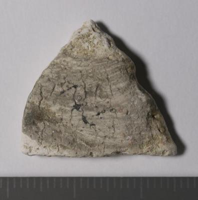 Overview of the sample, back